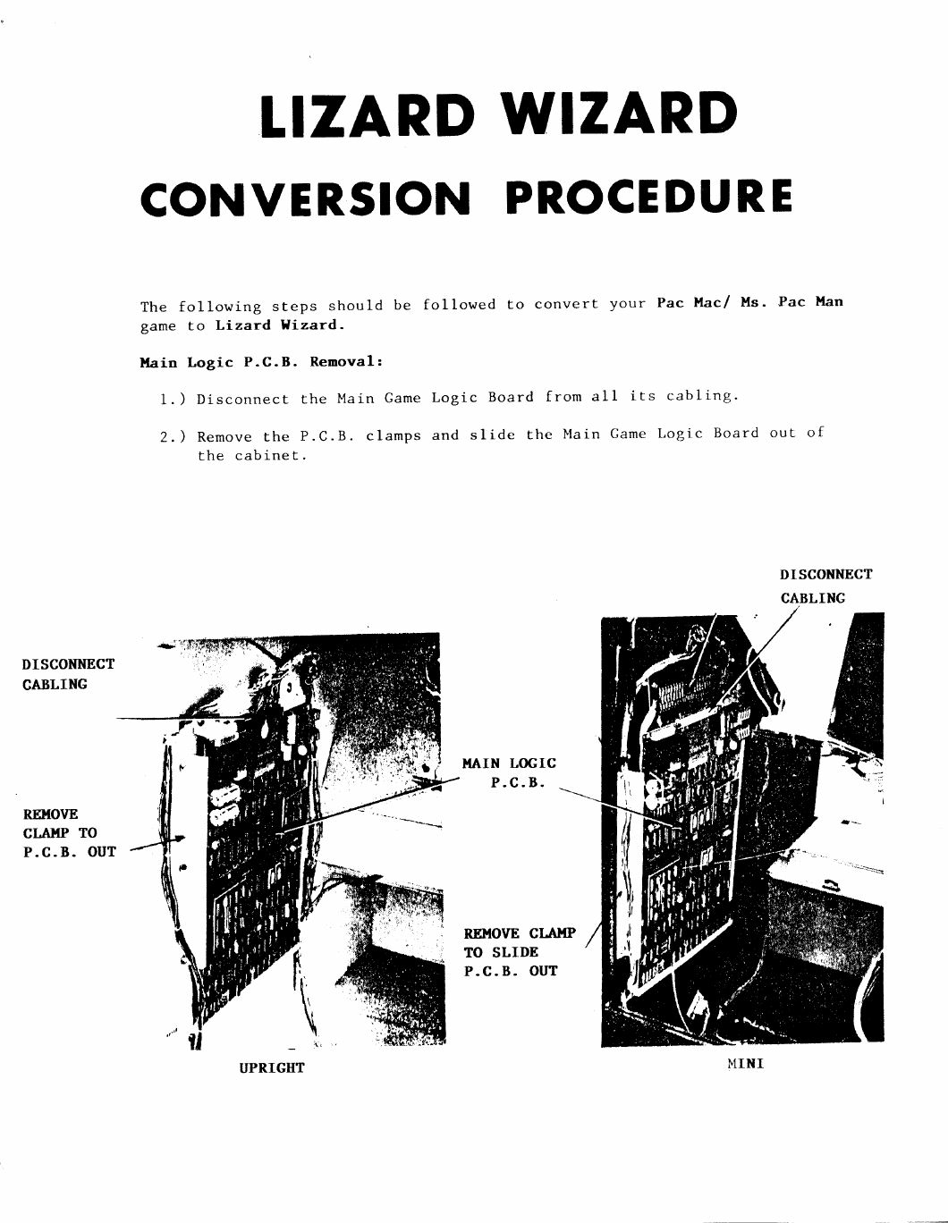 Lizard Wizard conversion procedure page
