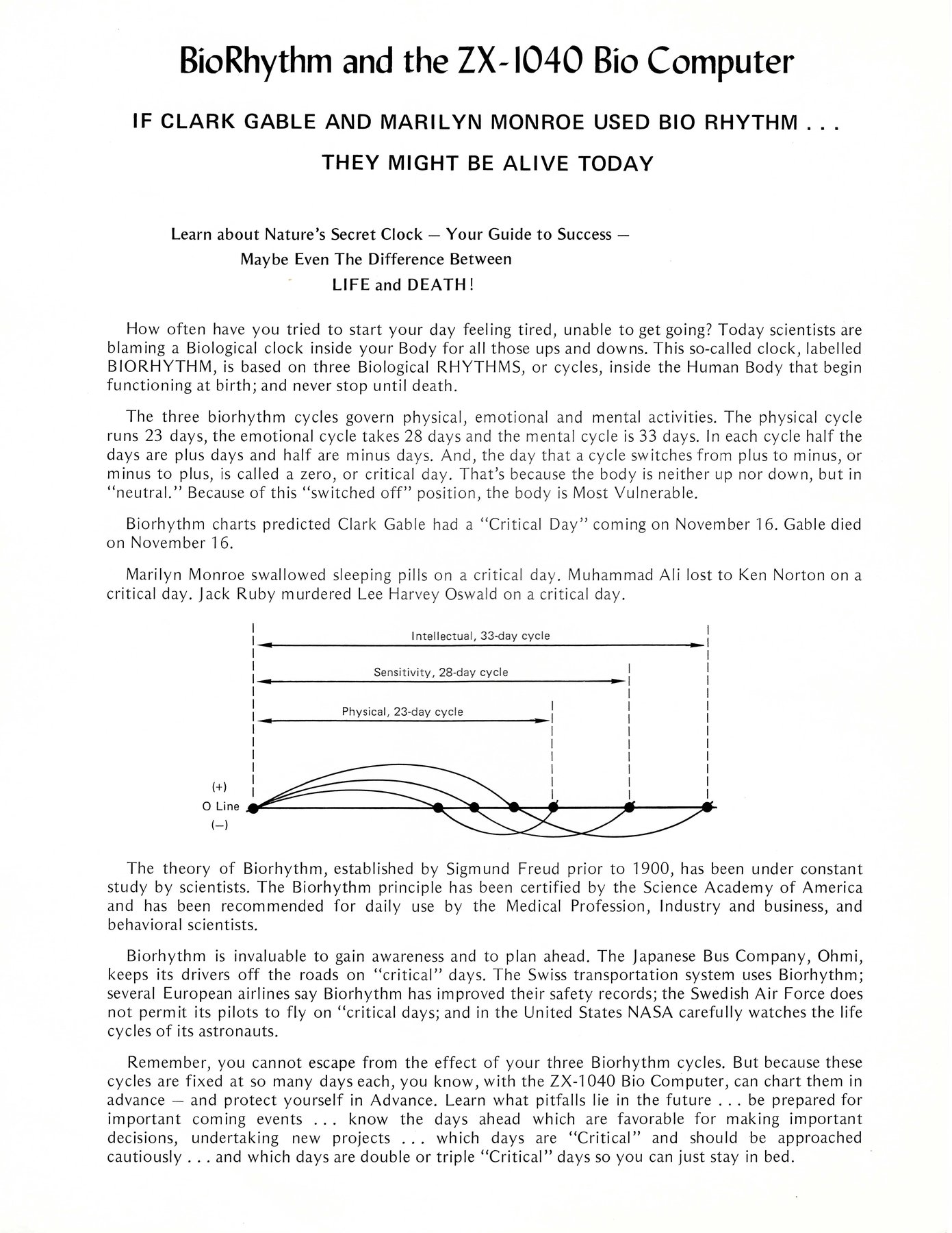 BioRhythm supplement